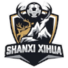 山西喜华女足